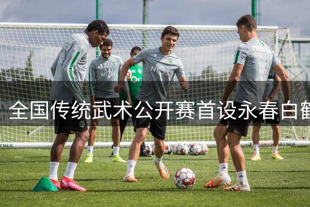 全国传统武术公开赛首设永春白鹤拳赛区 海内外选手以“拳”会友