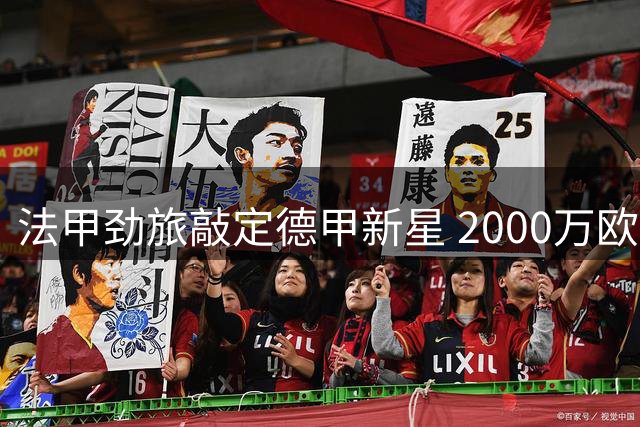 法甲劲旅敲定德甲新星 2000万欧引进19岁后防天才