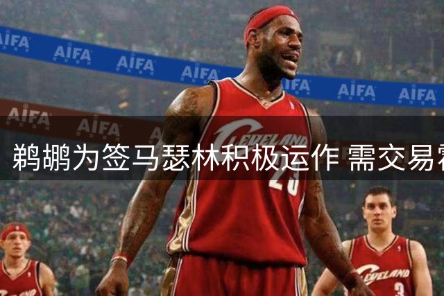 鹈鹕为签马瑟林积极运作 需交易霍金斯释放薪资空间